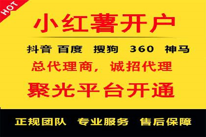 百度竞价排名服务助力：某品牌迅速占领市场